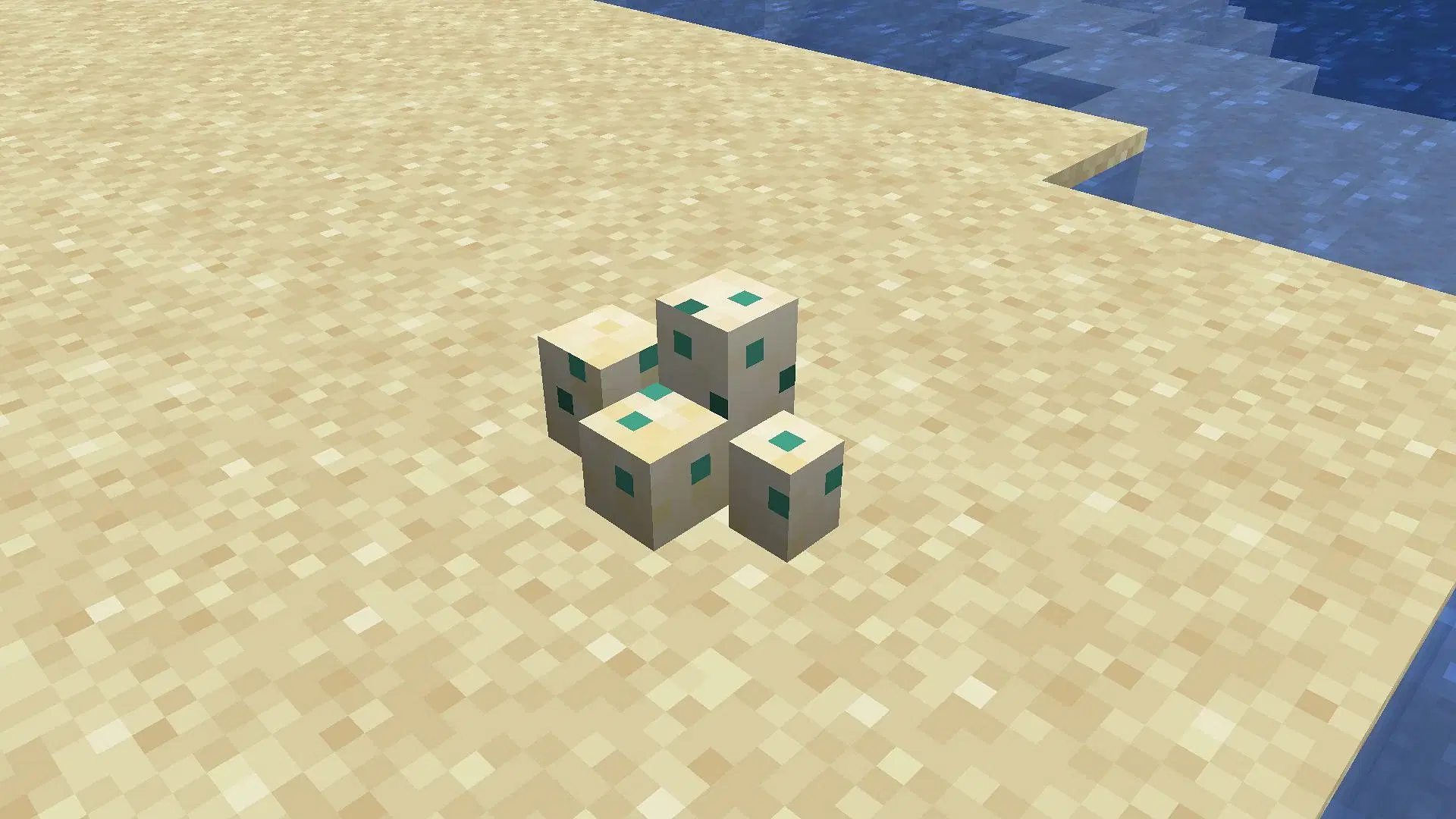 Turtle Eggs - Fragile Beyond Belief