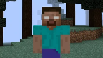 After 14 Years, the True Story of Steve Was Just DISCOVERED…