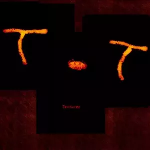 T.T Textures