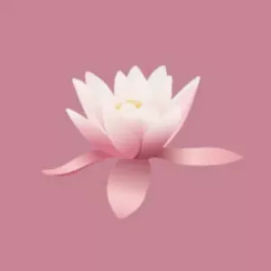 Lotus [16x]