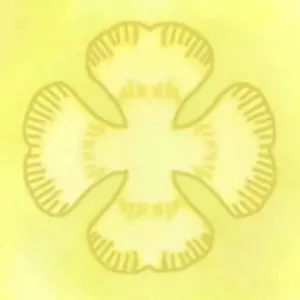 God
