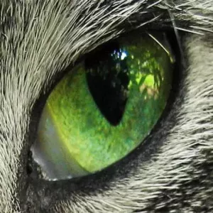 Busted-MixPack-byAys