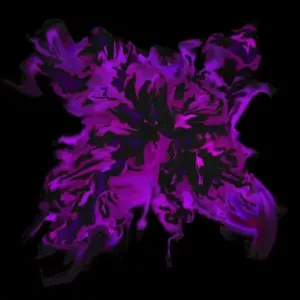 Black-PurplePack