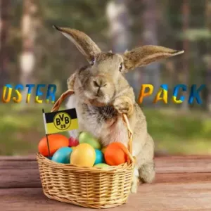 OsterPack