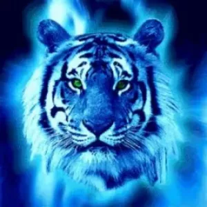 Owned Blue TimGamerHD Pack