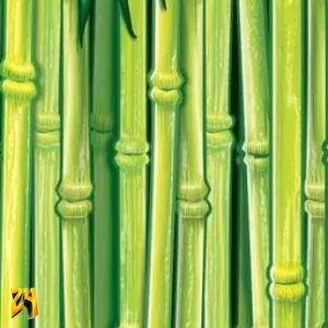 Bamboo v1Purple Pack