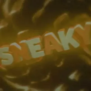 SneakyPackV1