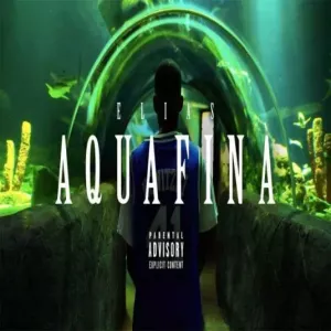 5Aquafina