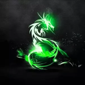 ToxicDragon